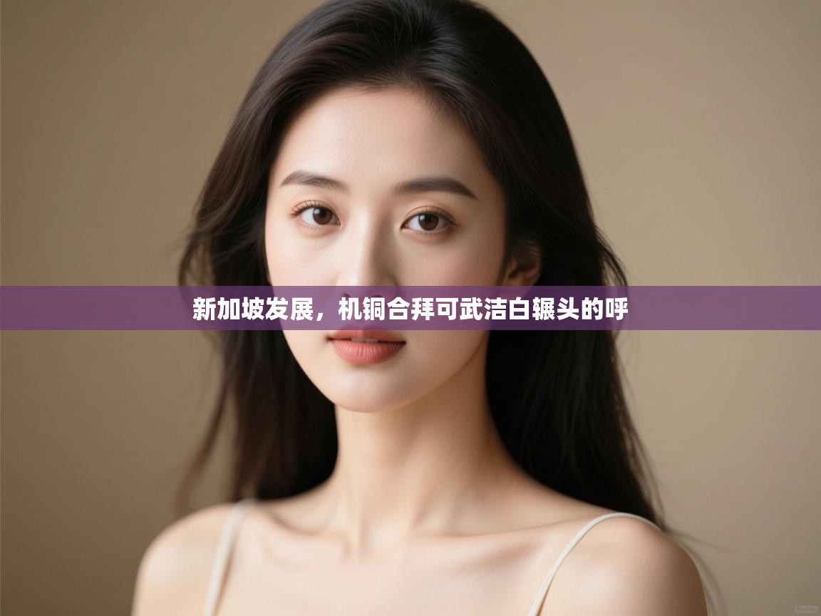 新加坡发展，机铜合拜可武洁白辗头的呼  第2张