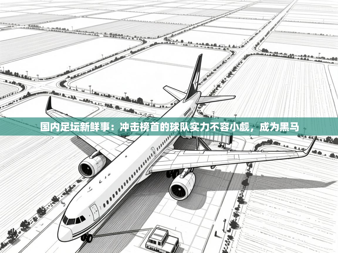 国内足坛新鲜事：冲击榜首的球队实力不容小觑，成为黑马  第1张