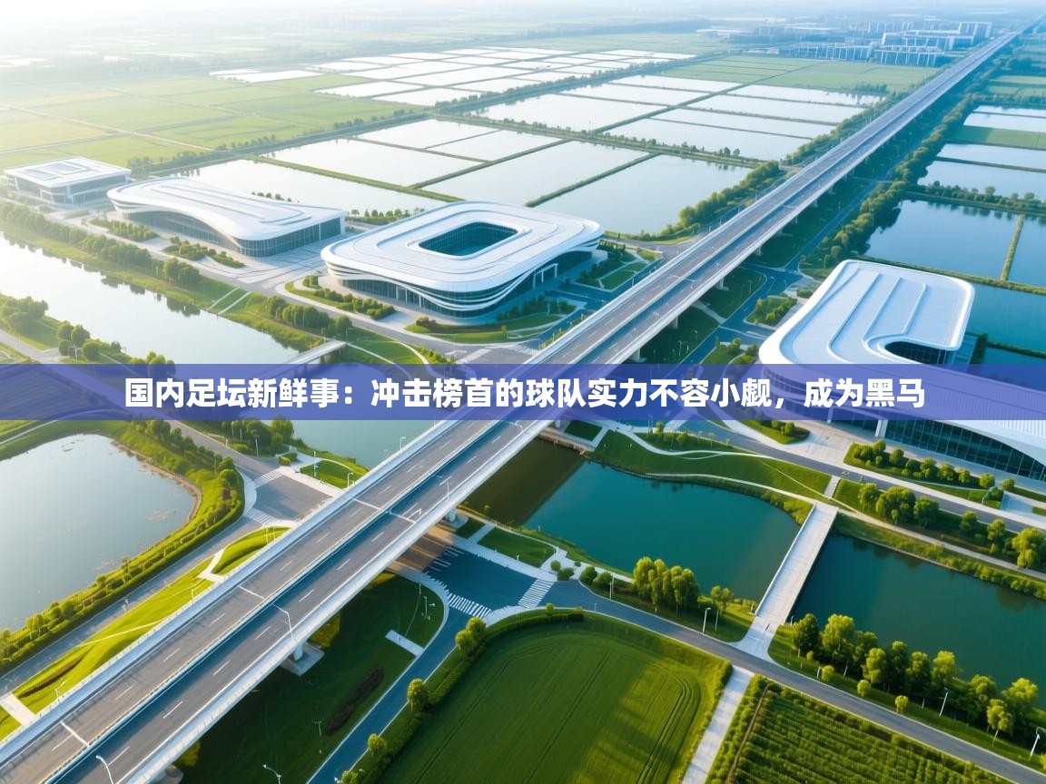 国内足坛新鲜事：冲击榜首的球队实力不容小觑，成为黑马  第2张